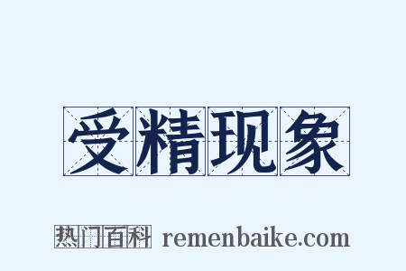受精现象是什么意思的图片